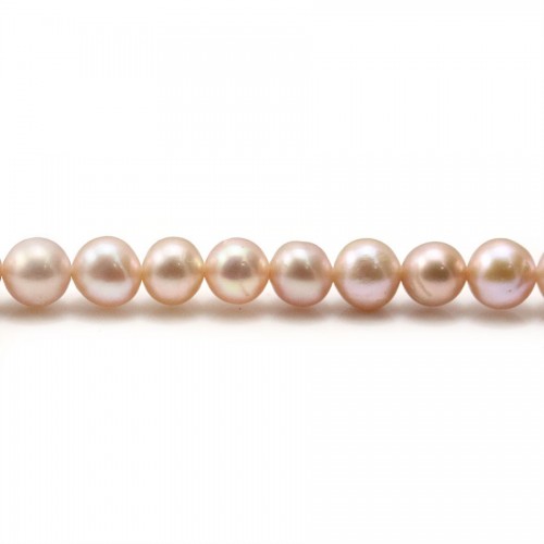 Perles d'eau douce mauve rondes  6mm x 6pcs