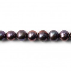 Dark blue Freshwater Pearl Round 7-8mm x  40cm