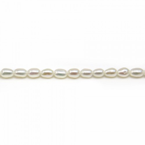 White ovale  freshwater pearl  2.5x4mm x 10pcs