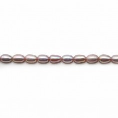 Perles de culture d'eau douce, mauve, olive, 4x6mm x 10pcs