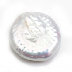 Perles de culture d'eau douce blanc argenté en rond plat 11mm x 1pc