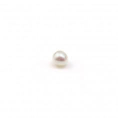 Perle d'eau douce rond sans perçage 1.5-1.8mm x 2pcs