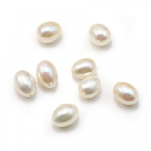 Pearl freshwater blanc ovale 8mm  demi tron 0.6mm  x 1pc