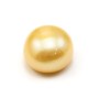 Perle d'eau douce blanche semi-percée en rond aplati 12-13mm x 1pc