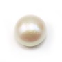 Perle de culture d'eau douce blanche semi percée, blanche, bouton, 15-16mm x 1pc