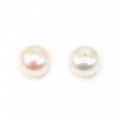 Perles de culture d'eau douce, semi-percé, blanche, bouton, 5-5.5mm x 4pcs