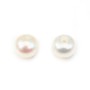 Perles de culture d'eau douce, semi-percé, blanche, bouton, 5-5.5mm x 4pcs