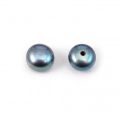 Perles de culture d'eau douce, semi-percée, bleu foncé, bouton, 6mm x 2pcs