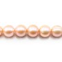 saumon round freshwater pearl  12-14mm  AAA x 40cm