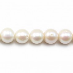white round freshwater pearl  12-14mm  AAA x 40cm