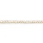 Perles de culture d'eau douce, blanche, ovale/irrégulière, 2-3mm x 37cm