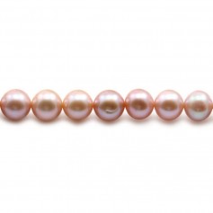 Perles de culture d'eau douce, mauve, ronde, 8-8.5mm x40cm