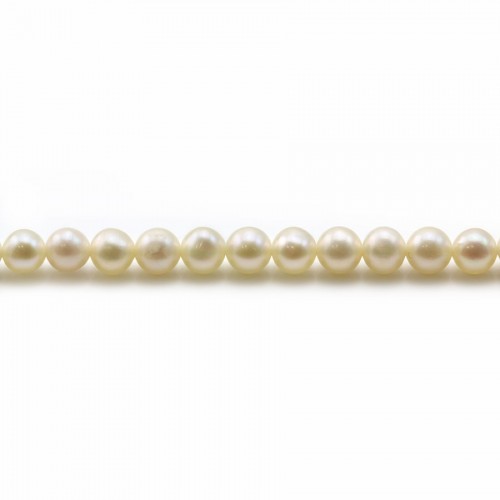 Freshwater cultured pearls, white, round, 4mm x 40cm