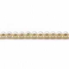 Perles d'eau douce blanches ronde 4mm x40cm