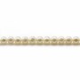 White  freshwater pearls 4mm x 40cm