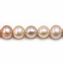 Multicolor round freshwater pearl  9.5-10.5mm  A x 40cm
