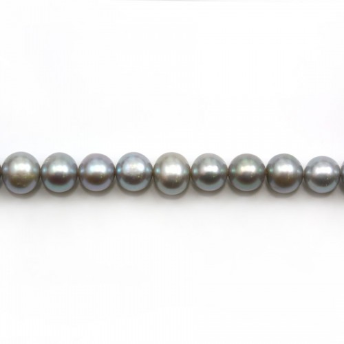 Perles de culture d'eau douce, gris, semi-ronde 7-9mm x 39cm