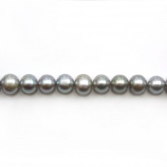 Perles de culture d'eau douce, gris, semi-ronde 7-9mm x 39cm