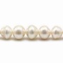 white  freshwater pearl baroque 15mm x 10pcs