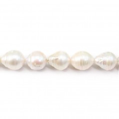 white freshwater pearl  15-16mm  AAA x 40cm