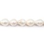 Perles de culture d'eau douce, blanche, baroque, 14.5-16mm  x 40cm