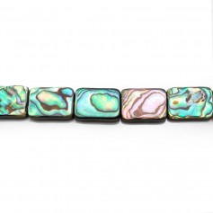 Nacre Abalone Rectangle 13x18mm x 2pcs