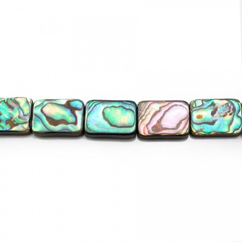 Rettangolo in madreperla abalone 13x18mm x 40cm