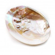 Coquillage avec perles incluses