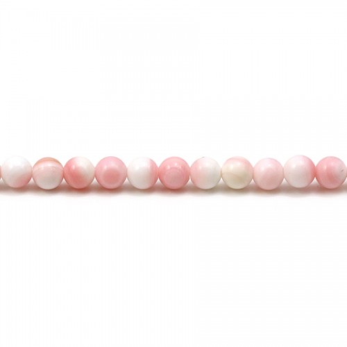Perles de lambi rose, de forme ronde, mesurant 4mm x 40cm 