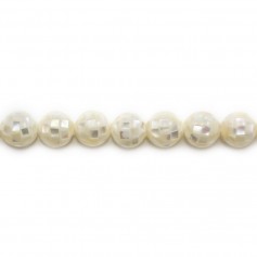 White mother-of-pearl round beads on thread 8mm x 40cm
