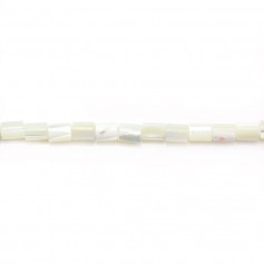 String of White Shell Tube 3x5MM 