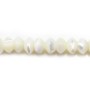 Nacre blanche rondelle 4x6mm x 40mm