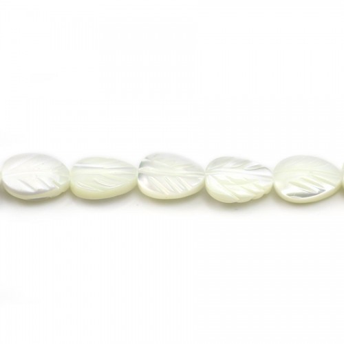 Nacre blanche feuille 6x9mm x 10pcs