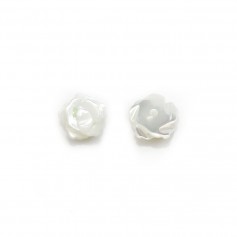 Nacre blanche en rose semi-percée 6mm x 2pcs