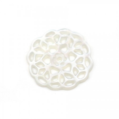 Mother-of-pearl in white color, in the shape of a flower, in size of 14mm x 1pc
