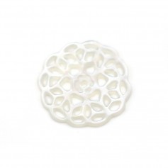 Nacre de couleur blanche, en forme de fleur, de taille 14mm x 1pc