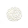 Nacre de couleur blanche, en forme de fleur, de taille 14mm x 1pc