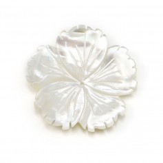 Nacre blanc 5 feuille rose 15mm x 1pc