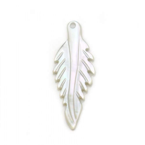 Nacre de couleur blanche, en forme de feuille, 8 * 20mm x 1pc