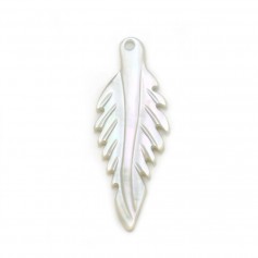 Nacre de couleur blanche, en forme de feuille, 8 * 20mm x 1pc