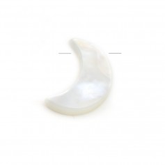 Nacre blanche lune 7x11mm x 1pc