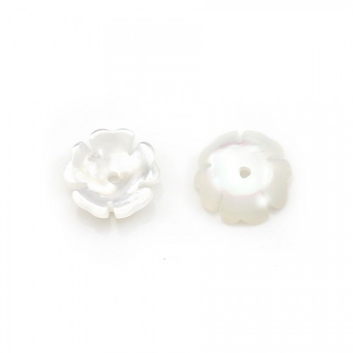 Coupelle fleur en nacre 8 mm blanc x2