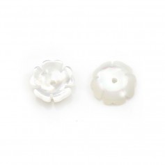 Coupelle fleur en nacre 8 mm blanc x2