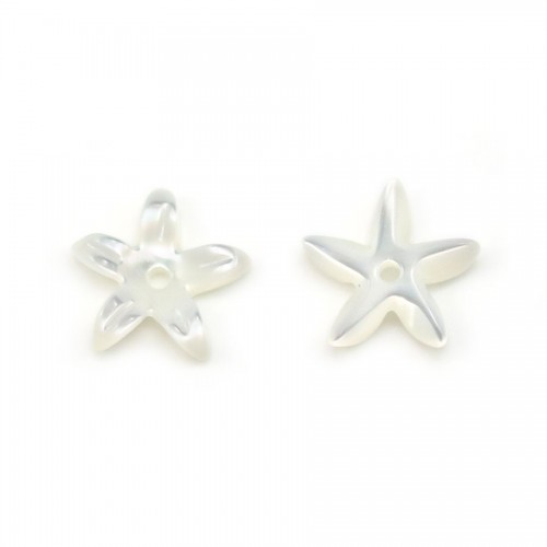 Nacre blanche en forme de fleur 18mm x 2pcs