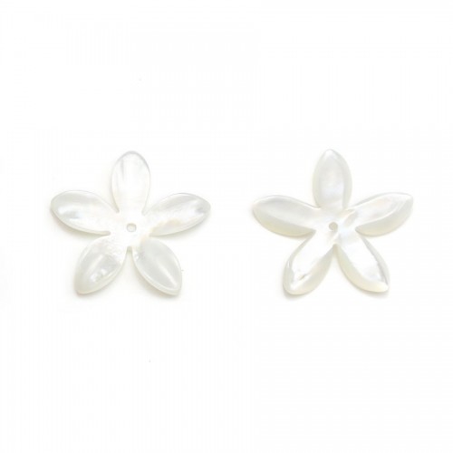 Mother-of-pearl, in white-colored, in the shape of a flower, measuring 18mm x 1pc