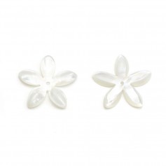 Nacre de couleur blanche et en forme de fleur, mesurant 18mm x 1pc