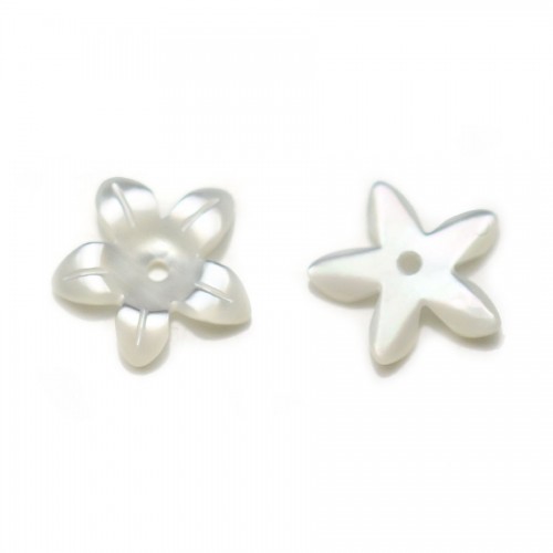 White mother-of-pearl, in shape of flower with 5 petals, 15mm x 2pcs