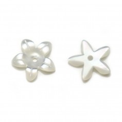 Nacre de couleur blanche, en forme de fleur à 5 pétales, 15mm x 2pcs