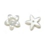 Nacre de couleur blanche, en forme de fleur à 5 pétales, 15mm x 2pcs