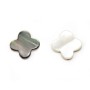 Nacre grise en forme de trèfle 18mm x 1pc